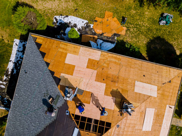 Best Roof Gutter Cleaning  in Merrill, WI